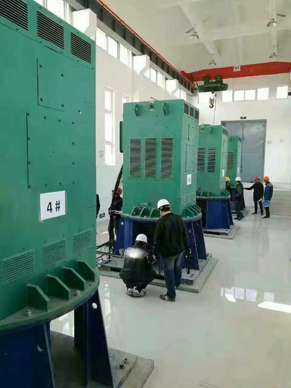 吴起某污水处理厂使用我厂的立式高压电机安装现场